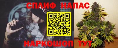 молекула духа Нягань