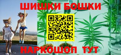 амф Обь