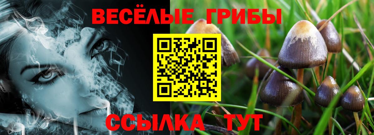 Галлюциногенные грибы GOLDEN TEACHER Усинск